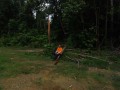 Tn DSC 6393